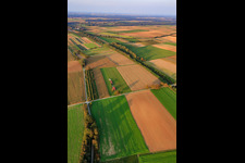 Model airfield of the model flying club Freckenfeld eV from southwest in Freckenfeld in the state Rhineland-Palatinate, Germany out of the air