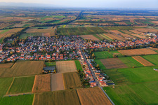 Oblique view of Village overview from the south in Freckenfeld in the state Rhineland-Palatinate, Germany