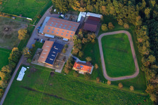 Bienwald Icelandic Horse Stud in Freckenfeld in the state Rhineland-Palatinate, Germany