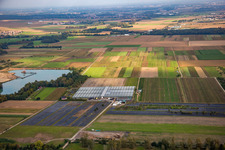 Adventure Paramoteur Alsace in Stephansfeld in the state Bas-Rhin, France