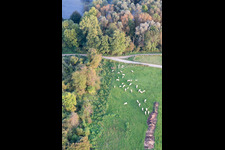 Fort-Louis in the state Bas-Rhin, France out of the air