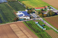 Zapf farm market, fruit and asparagus farm, Zapf farm café in Kandel in the state Rhineland-Palatinate, Germany
