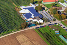 Aerial view of Zapf farm market, fruit and asparagus farm, Zapf farm café in Kandel in the state Rhineland-Palatinate, Germany