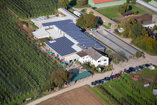 Tables and benches of open-air cafe Zapf Hofmarkt and farm cafe in Kandel in the state Rhineland-Palatinate, Germany