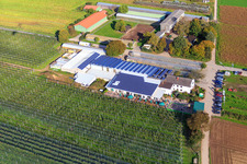 Zapf farm market, fruit and asparagus farm, Zapf farm café in Kandel in the state Rhineland-Palatinate, Germany out of the air