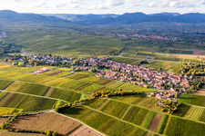 Autumnal discolored vegetation view Village - view on the edge of agricultural wine yards in Wollmesheim in the state Rhineland-Palatinate, Germany