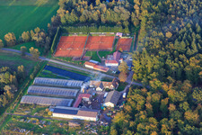 Waldhof Frey on the edge of the Bienwald and tennis courts in Steinfeld in the state Rhineland-Palatinate, Germany