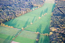 Structures of a meadow landscape of the creek Otterbach between the forest Bienwald in Kandel in the state Rhineland-Palatinate