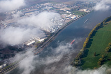 Worms in the state Rhineland-Palatinate, Germany