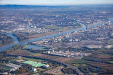 North in the district BASF in Ludwigshafen am Rhein in the state Rhineland-Palatinate, Germany