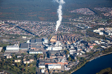 Essity Operations in the district Sandhofen in Mannheim in the state Baden-Wuerttemberg, Germany