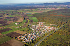 Aerial view of District Riedrode in Bürstadt in the state Hesse, Germany