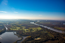 Lampertheim Althrein and Biedensand nature reserve in Lampertheim in the state Hesse, Germany
