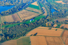 Paraglider over the Rhine meadows on the Old Rhine in the district Eggenstein in Eggenstein-Leopoldshafen in the state Baden-Wuerttemberg, Germany