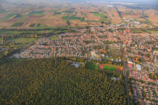 Sports fields and light oaks at the edge of the forest in Rülzheim in the state Rhineland-Palatinate, Germany