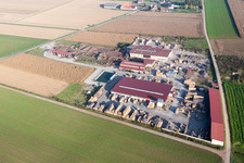 KOCHER Sawmill and Palletizing Plant Site in Niederrœdern in the state Bas-Rhin, France