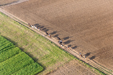 Group of riders on a path in Wintzenbach in Grand Est, France
