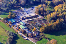 Bienwald Nursery and GREENTEC GmbH GbR in Berg in the state Rhineland-Palatinate, Germany