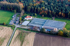 Glass roof surfaces in the greenhouse rows for catus growing culture in Steinfeld in the state Rhineland-Palatinate, Germany