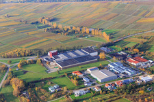 Kleine Kalmit winery in Ilbesheim bei Landau in the state Rhineland-Palatinate, Germany