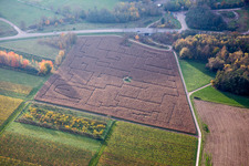 Maze - Labyrinth in a corn field in Goecklingen in the state Rhineland-Palatinate, Germany