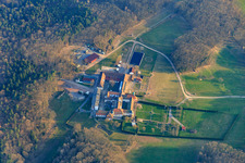 Aerial photograpy of Horse boarding at the Liebfrauenberg Monastery in Bad Bergzabern in the state Rhineland-Palatinate, Germany