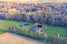 Aerial view of Biotope at Altbach in winter in the district Minderslachen in Kandel in the state Rhineland-Palatinate, Germany
