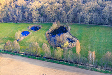 Aerial photograpy of Biotope at Altbach in winter in the district Minderslachen in Kandel in the state Rhineland-Palatinate, Germany