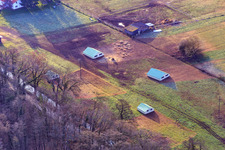 Aerial view of Mobeler chicken coop of the organic chicken farm of Hofladen Stoltz at the Hardtmühle in Kandel in the state Rhineland-Palatinate, Germany