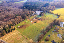 Bird's eye view of Mobeler chicken coop of the organic chicken farm of Hofladen Stoltz at the Hardtmühle in Kandel in the state Rhineland-Palatinate, Germany