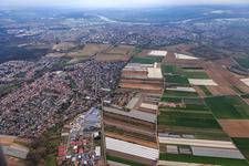 Aerial view of Overview of the town in winter from the west in Dudenhofen in the state Rhineland-Palatinate, Germany