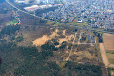 Sand dunes in the forest on the Natostr in Dudenhofen in the state Rhineland-Palatinate, Germany