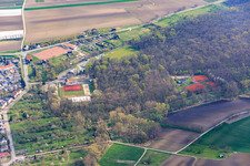 Rheinauenhallen and tennis courts of the tennis club Waldsee in the forest in Waldsee in the state Rhineland-Palatinate, Germany