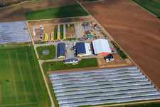 Asparagus & Fruit Farm Wendel in Zwingenberg in the state Hesse, Germany