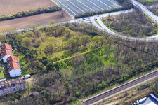 Jewish Cemetery in the district Sandwiese in Alsbach-Hähnlein in the state Hesse, Germany