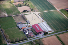 Riding and Driving Club Großzimmern 1949 eV in Groß-Zimmern in the state Hesse, Germany