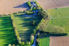 Aerial photograpy of Paddock of Trakehner-Friedrich in Minfeld in the state Rhineland-Palatinate, Germany