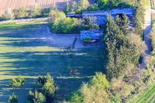 Oblique view of Paddock of Trakehner-Friedrich in Minfeld in the state Rhineland-Palatinate, Germany