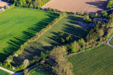 Paddock of Trakehner-Friedrich in Minfeld in the state Rhineland-Palatinate, Germany from above