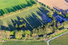 Paddock of Trakehner-Friedrich in Minfeld in the state Rhineland-Palatinate, Germany out of the air
