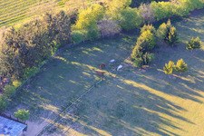 Drone image of Paddock of Trakehner-Friedrich in Minfeld in the state Rhineland-Palatinate, Germany