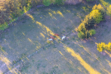 Paddock of Trakehner-Friedrich in Minfeld in the state Rhineland-Palatinate, Germany from a drone