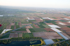 Mussbacher Baggerweiher in the district Mußbach in Neustadt an der Weinstraße in the state Rhineland-Palatinate, Germany