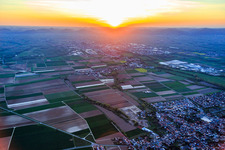 Village view at sunset from the east in the district Mörlheim in Landau in der Pfalz in the state Rhineland-Palatinate, Germany