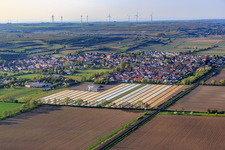 Village view from the south in Mettenheim in the state Rhineland-Palatinate, Germany