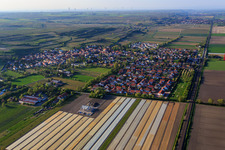Aerial view of Village view from the south in Mettenheim in the state Rhineland-Palatinate, Germany