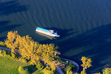 Rhine bank with NATO ramp Guntersblum in Guntersblum in the state Rhineland-Palatinate, Germany