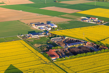 Composting plant Brunnenhof GmbH in Biebesheim am Rhein in the state Hesse, Germany