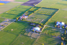 Karlshof Stud and Marienhof Stud in Gernsheim in the state Hesse, Germany