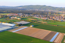 Freight train next to Trübenbach Gemüsejungpflanzen GmbH & Co. KG in Bickenbach in the state Hesse, Germany
